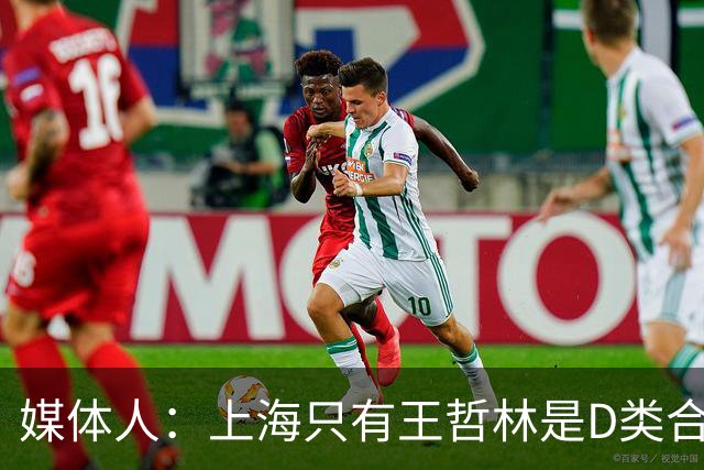 媒体人：上海只有王哲林是D类合同 剩余两个顶薪或给张镇麟李弘权